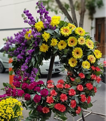 Corona Paleta de colores